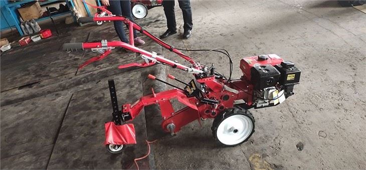 LS-3300B177 (2)(001)